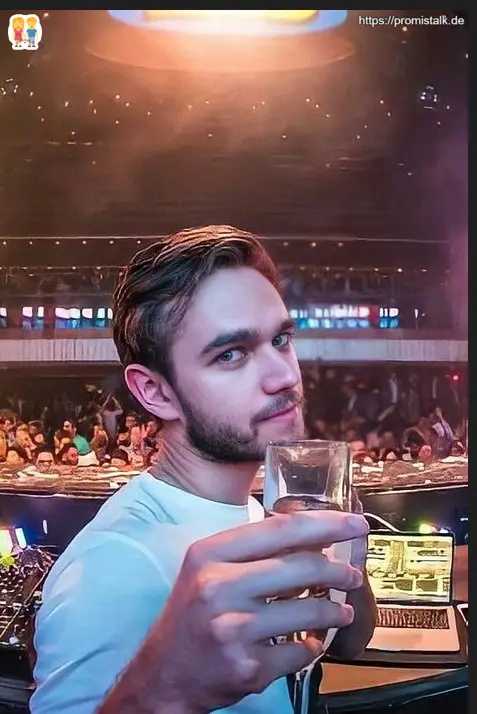 Zedd Belohungen