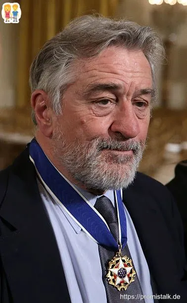 Robert De Niro Erfolge