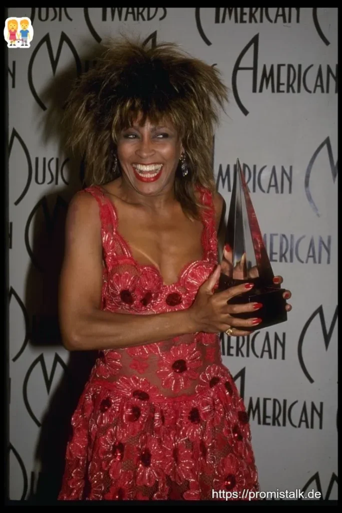 Tina Turner Erfolge