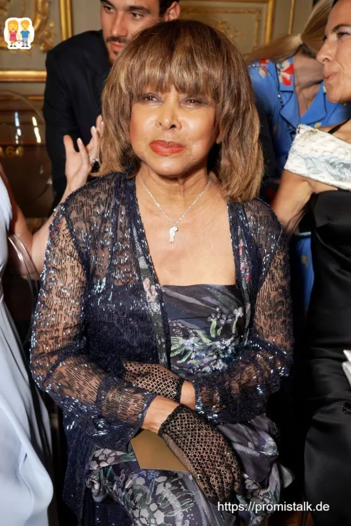 Tina Turner Karriere