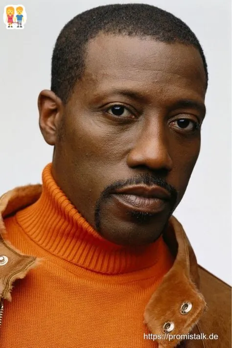 Wesley Snipes vermogen